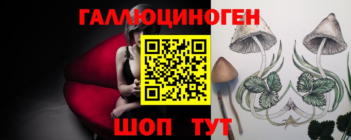 Ессентуки  Галлюциногенные грибы Psilocybe  Вход с VPN 